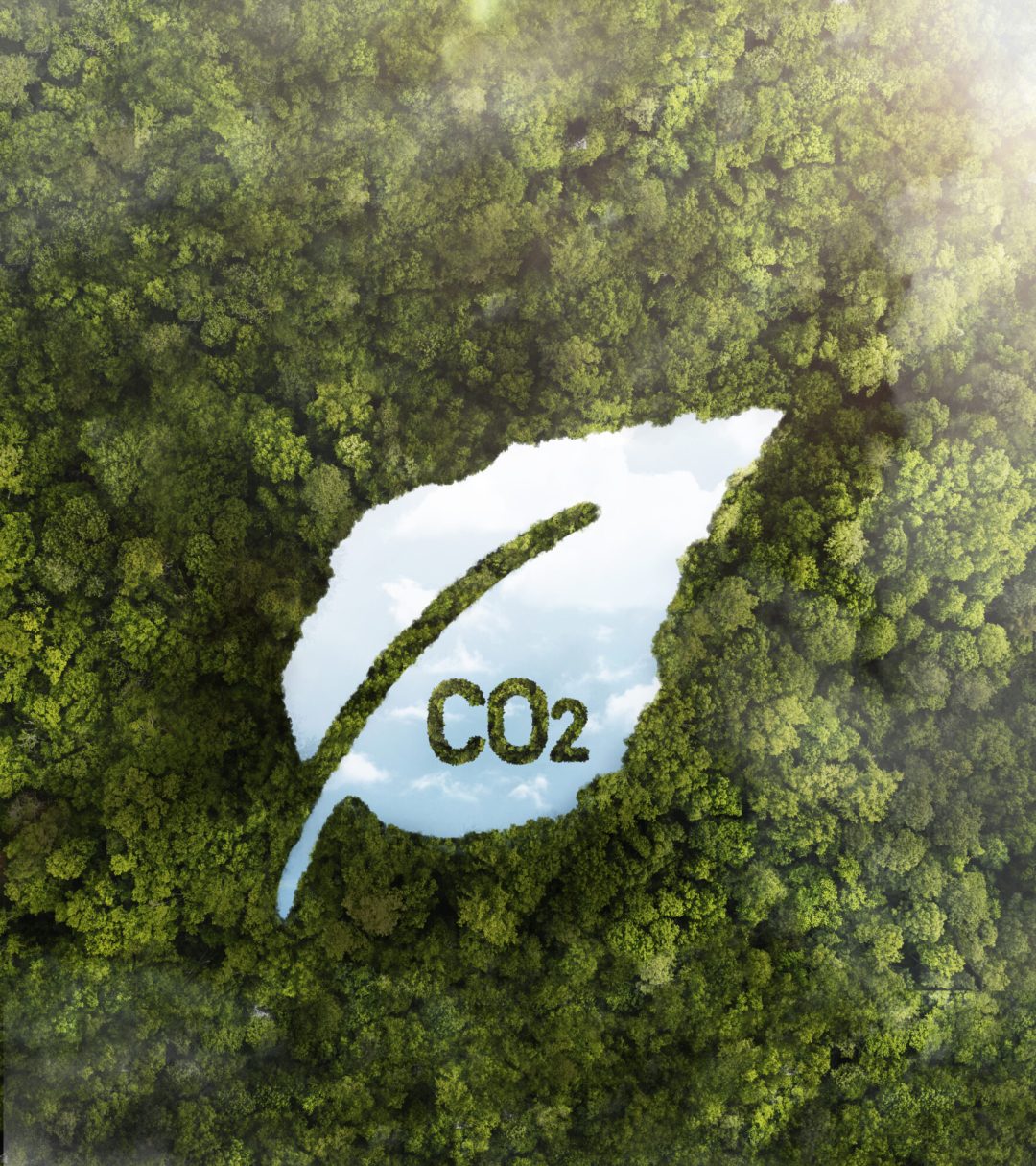 Decarbonization, decentralization and energy access